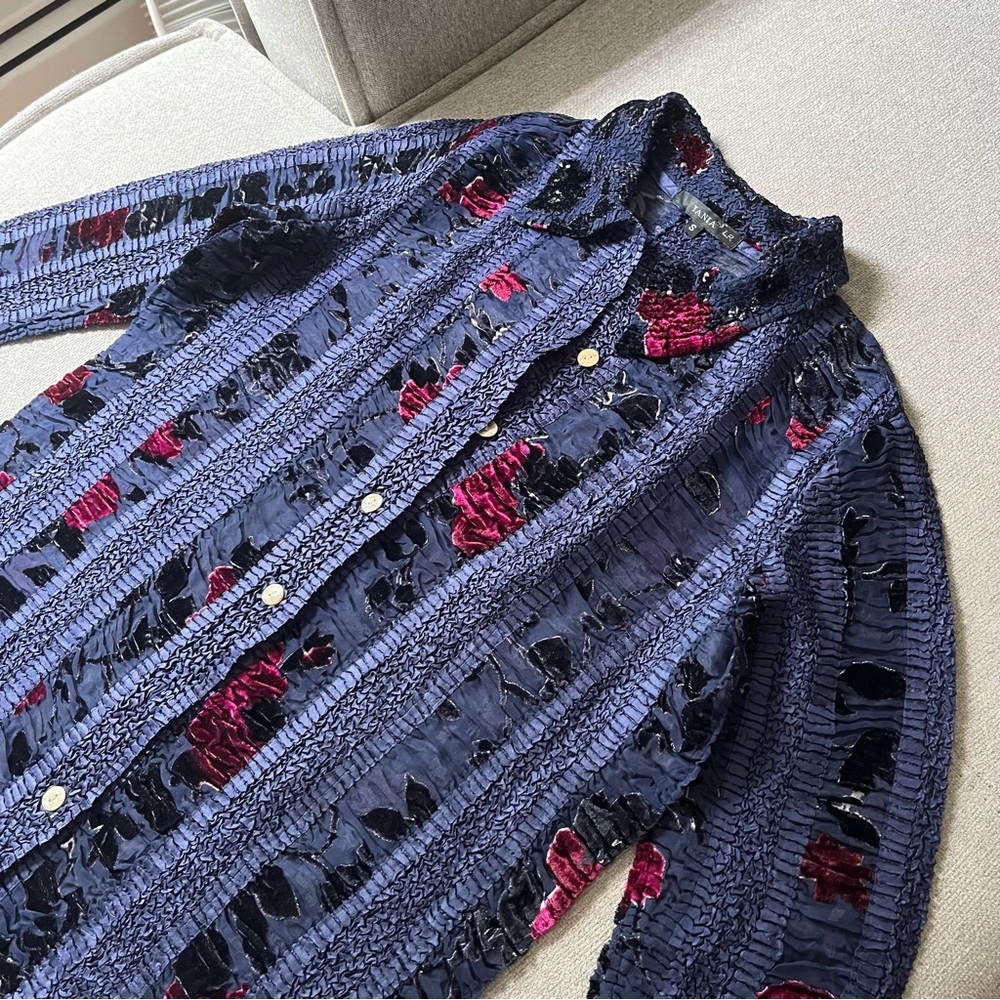 Beautiful Vintage Button Up Blouse (Transparent, Velvet, and Popcorn Materials)